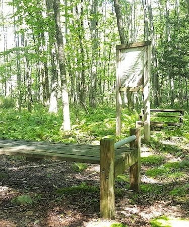 Whetten Woods Trail x Dog Lane
