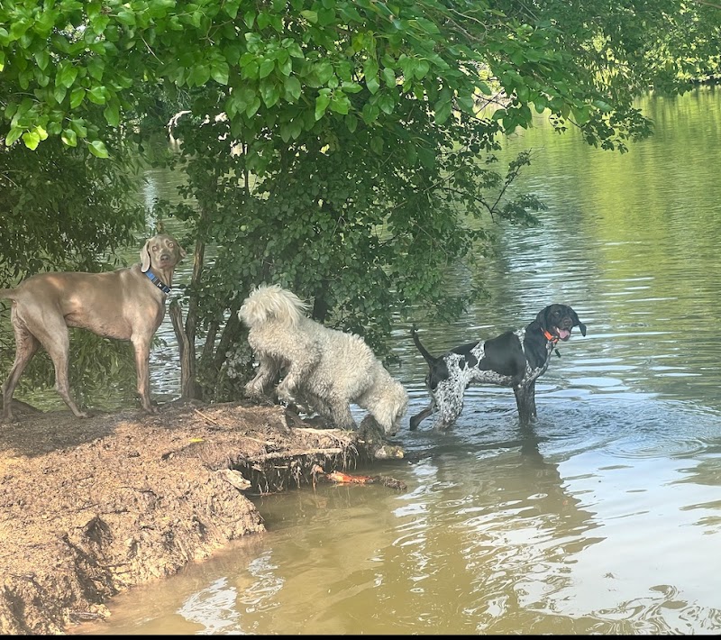 Viking dog park / dog beach - Stoughton, WI