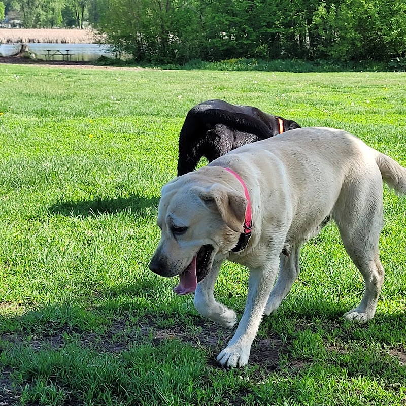 Viking dog park / dog beach - Stoughton, WI