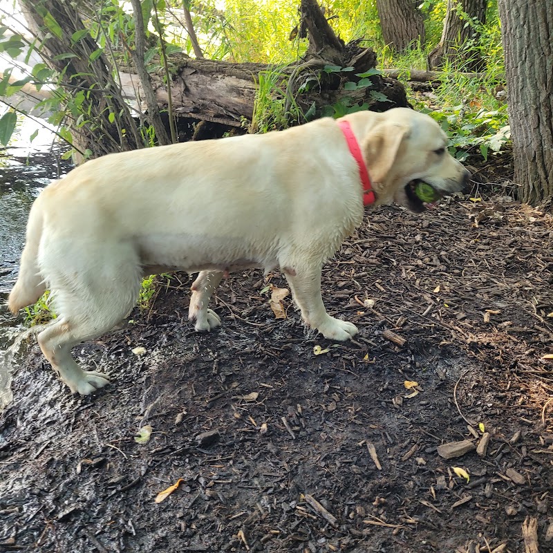 Viking dog park / dog beach - Stoughton, WI