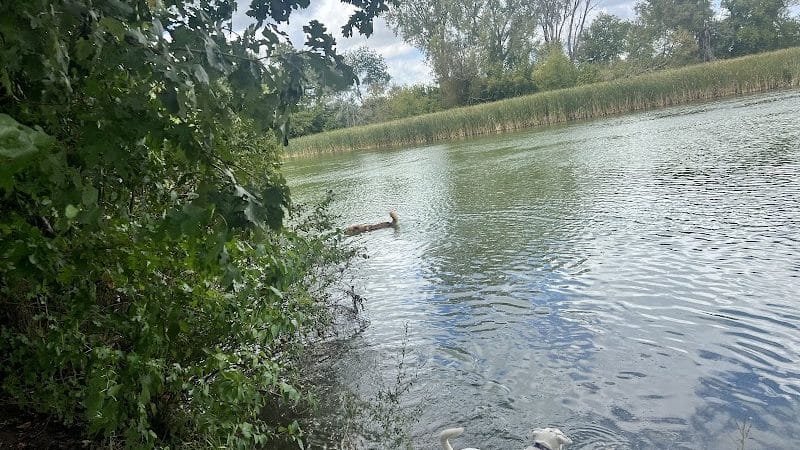 Viking dog park / dog beach - Stoughton, WI