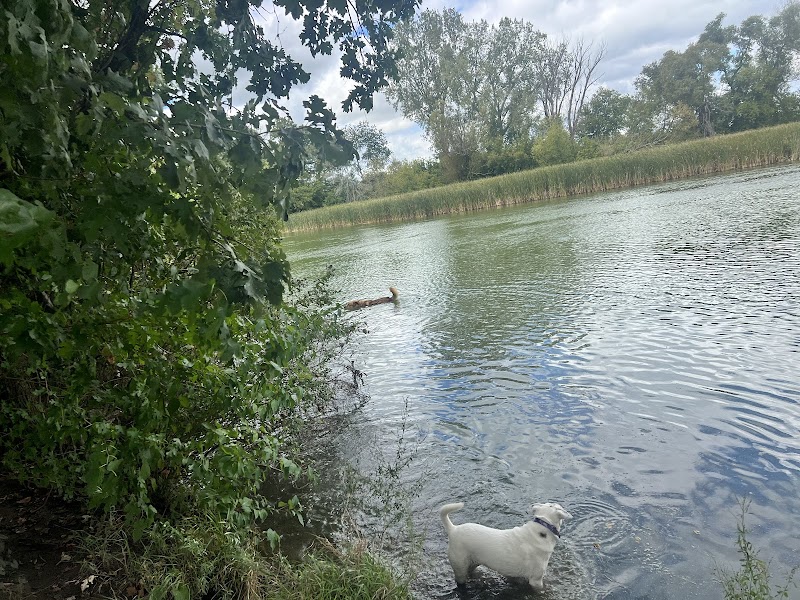 Viking dog park / dog beach - Stoughton, WI
