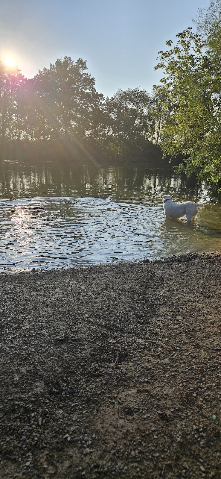 Viking dog park / dog beach - Stoughton, WI