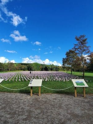 Post-9/11 U.S. Armed Forces Memorial at Patriot Park