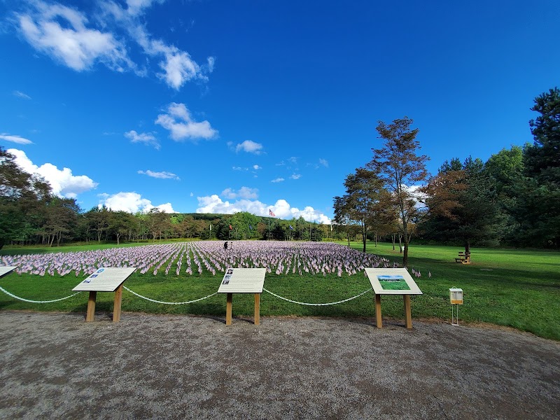 Post-9/11 U.S. Armed Forces Memorial at Patriot Park - Stoystown, PA