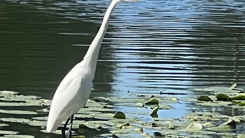 Longbrook Park - Stratford, CT