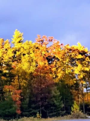 HJP Regional Park - Stroudsburg, PA