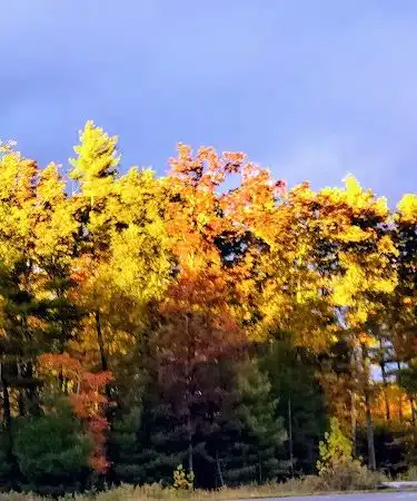 HJP Regional Park - Stroudsburg, PA