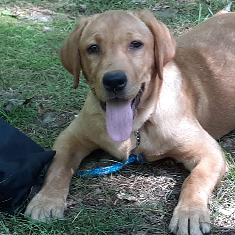 HJP Regional Park - Stroudsburg, PA