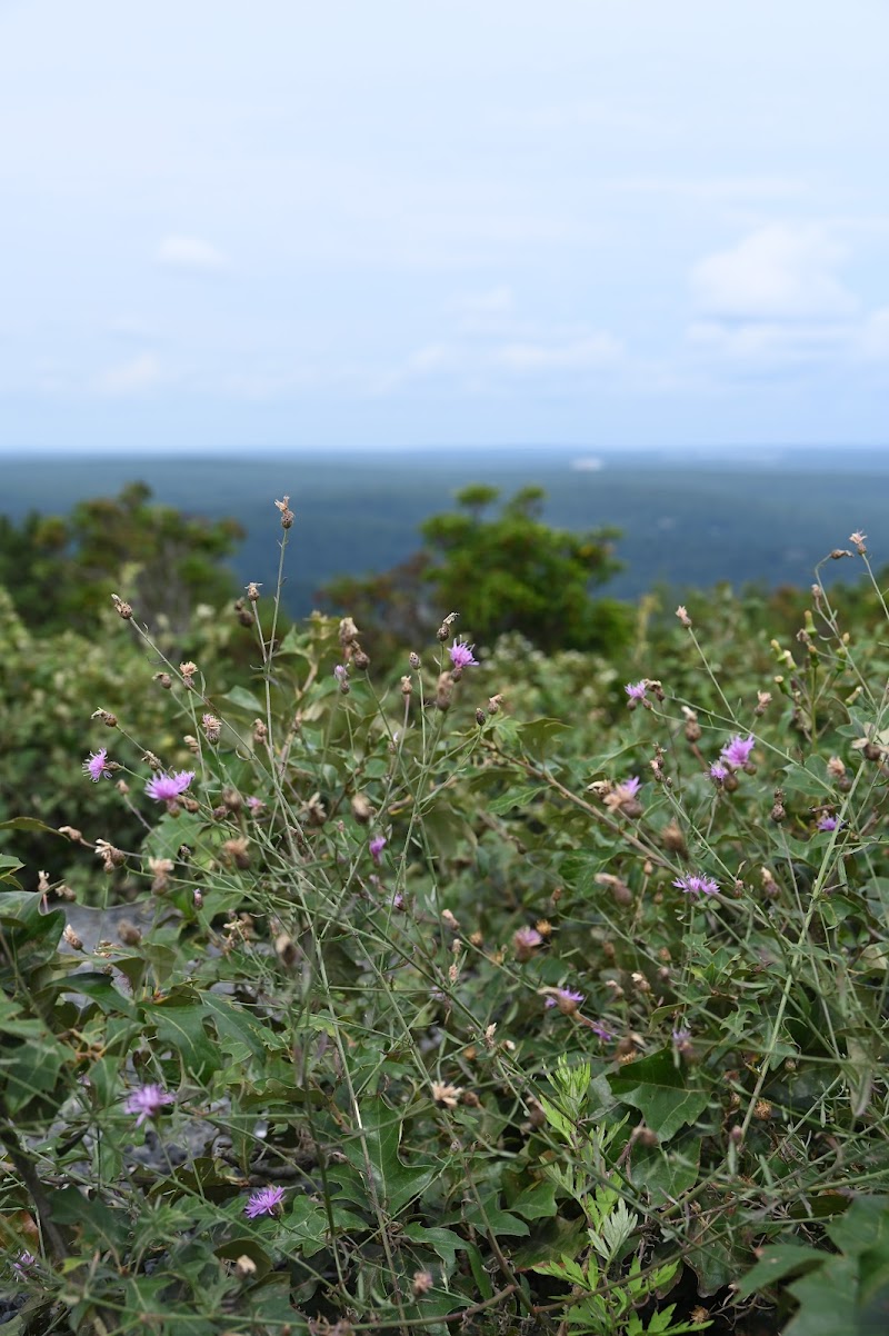 HJP Regional Park - Stroudsburg, PA