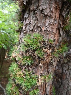 HJP Regional Park - Stroudsburg, PA