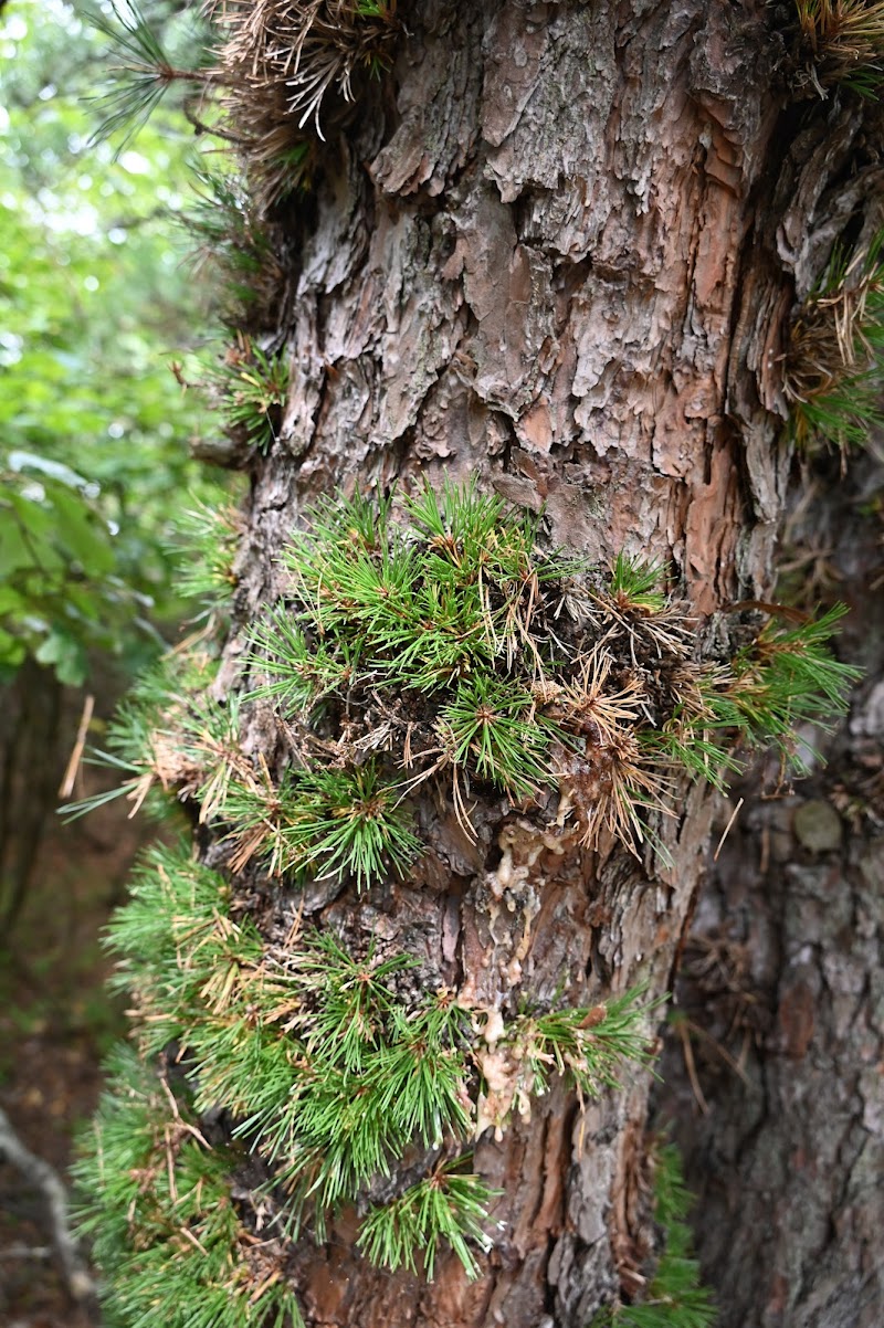 HJP Regional Park - Stroudsburg, PA