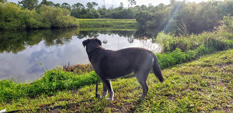 Haney Creek Dog Park - Stuart, FL