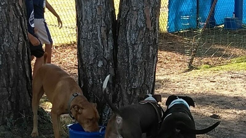 Poppleton Creek Dog Park - Stuart, FL