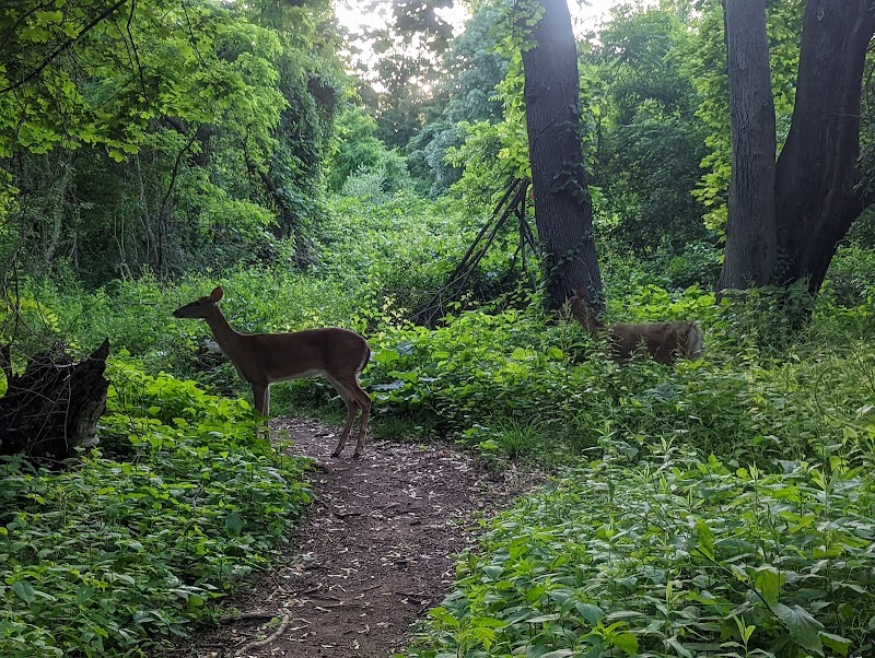 Black River Park Parking Lot - Succasunna, NJ
