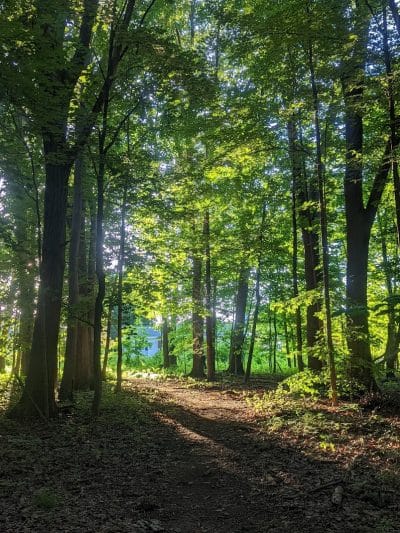 Black River Park Parking Lot - Succasunna, NJ