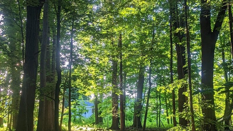 Black River Park Parking Lot - Succasunna, NJ