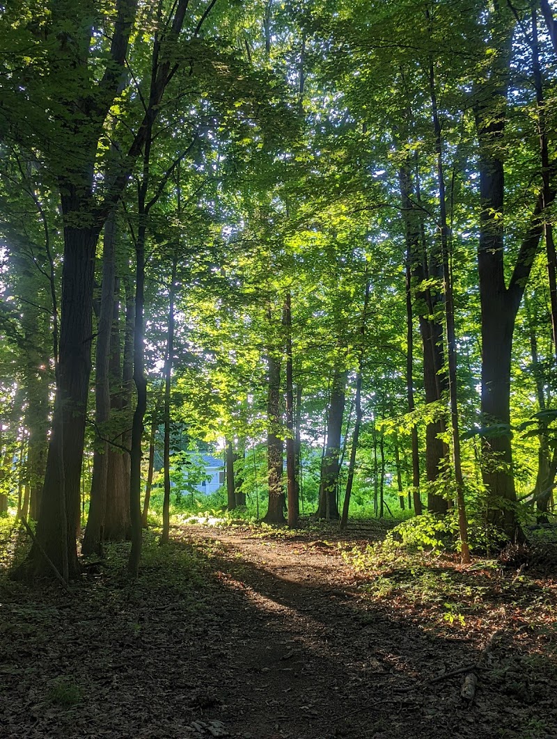 Black River Park Parking Lot - Succasunna, NJ