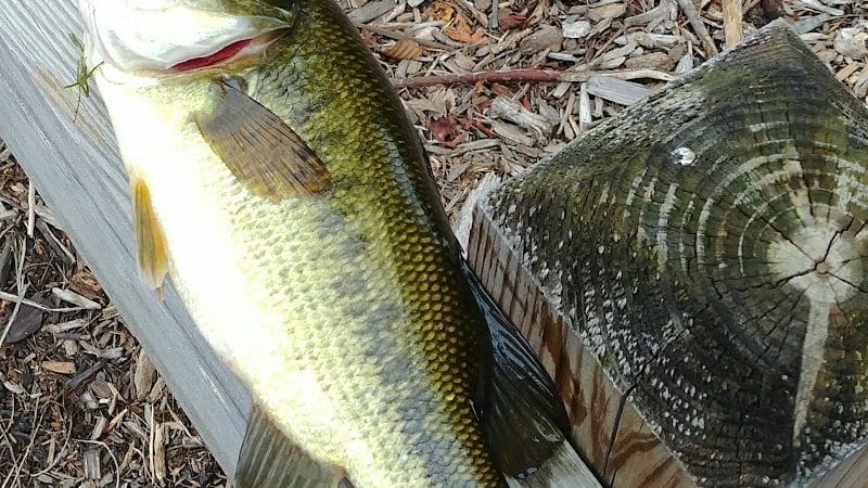 Black River Park Parking Lot - Succasunna, NJ