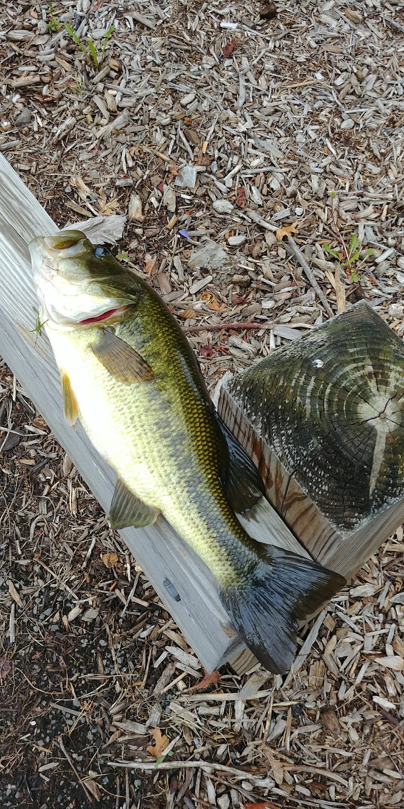 Black River Park Parking Lot - Succasunna, NJ
