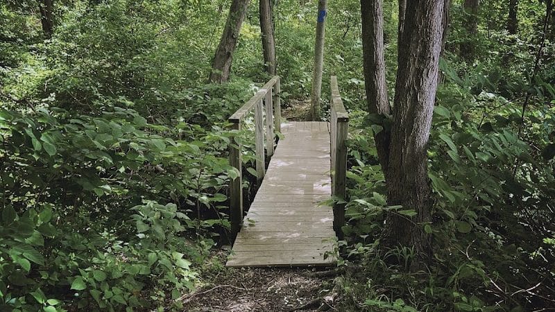 Black River Park Parking Lot - Succasunna, NJ