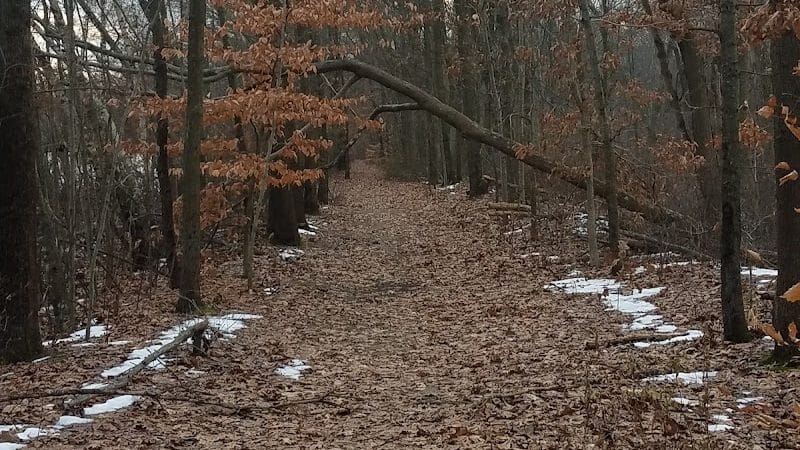 Black River Park Parking Lot - Succasunna, NJ