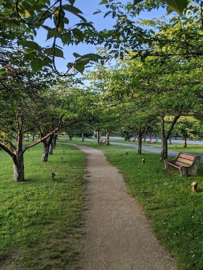 Horseshoe Lake Recreation Complex - Succasunna, NJ