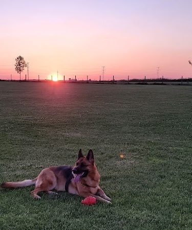 Stuart Sports Complex Dog Park