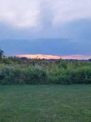 Stuart Sports Complex Dog Park