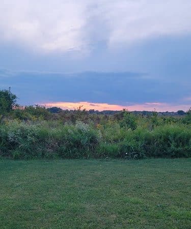 Stuart Sports Complex Dog Park