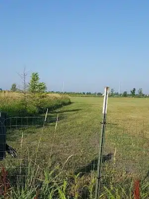 Stuart Sports Complex Dog Park