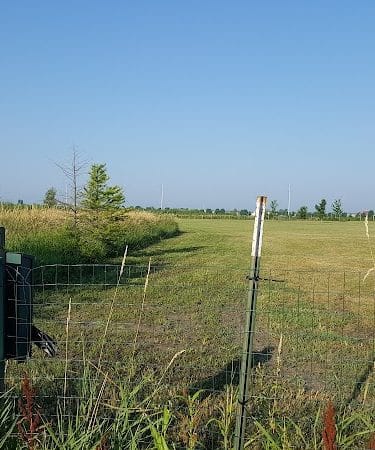 Stuart Sports Complex Dog Park