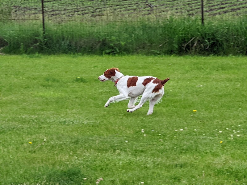 Woof Run Dog Park - Sugar Grove, IL