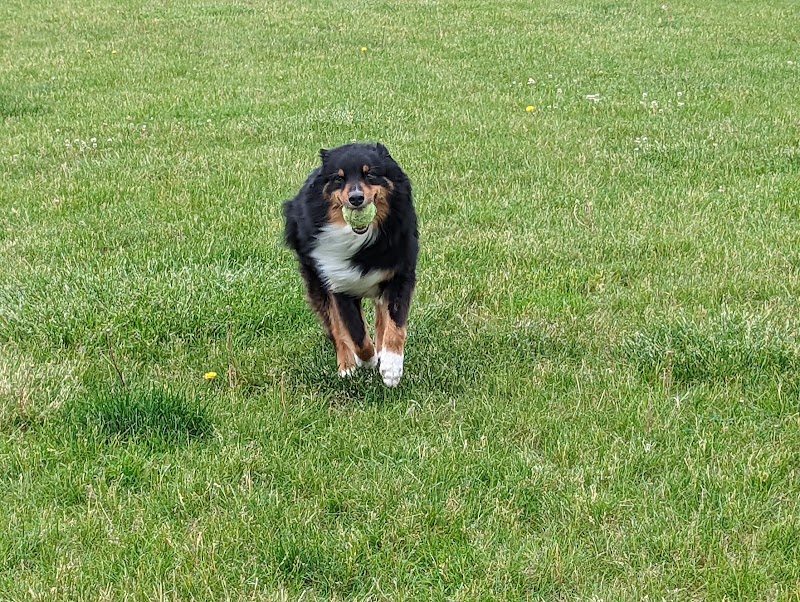 Woof Run Dog Park - Sugar Grove, IL