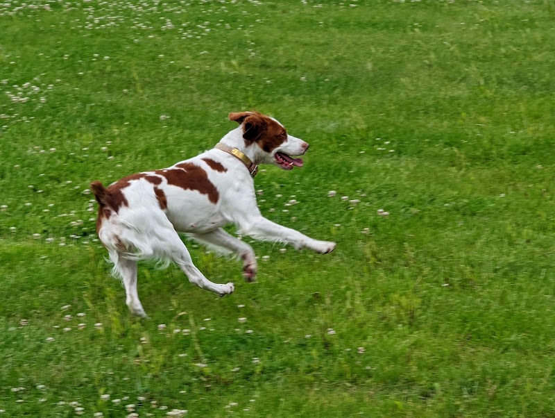 Woof Run Dog Park - Sugar Grove, IL