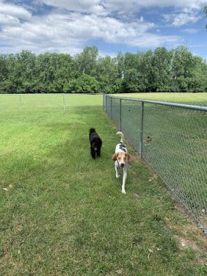 Happy Tails Dog Park - Summit