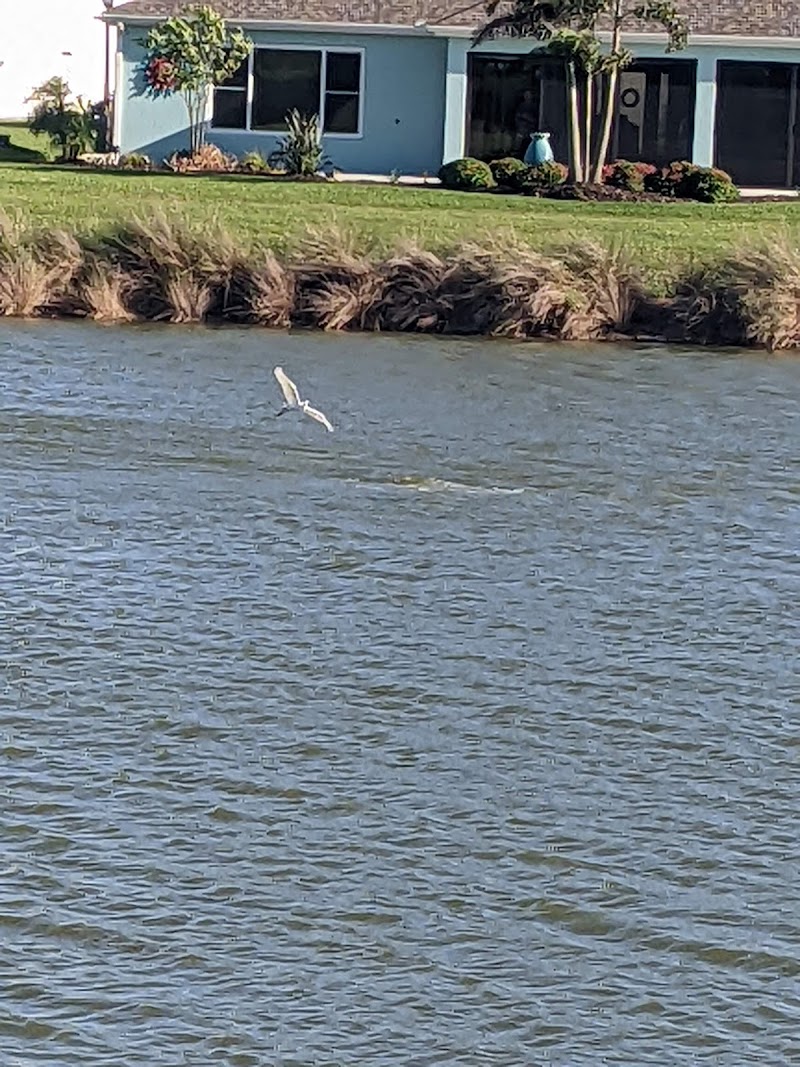 Rupert Canine Park - Sumterville, FL