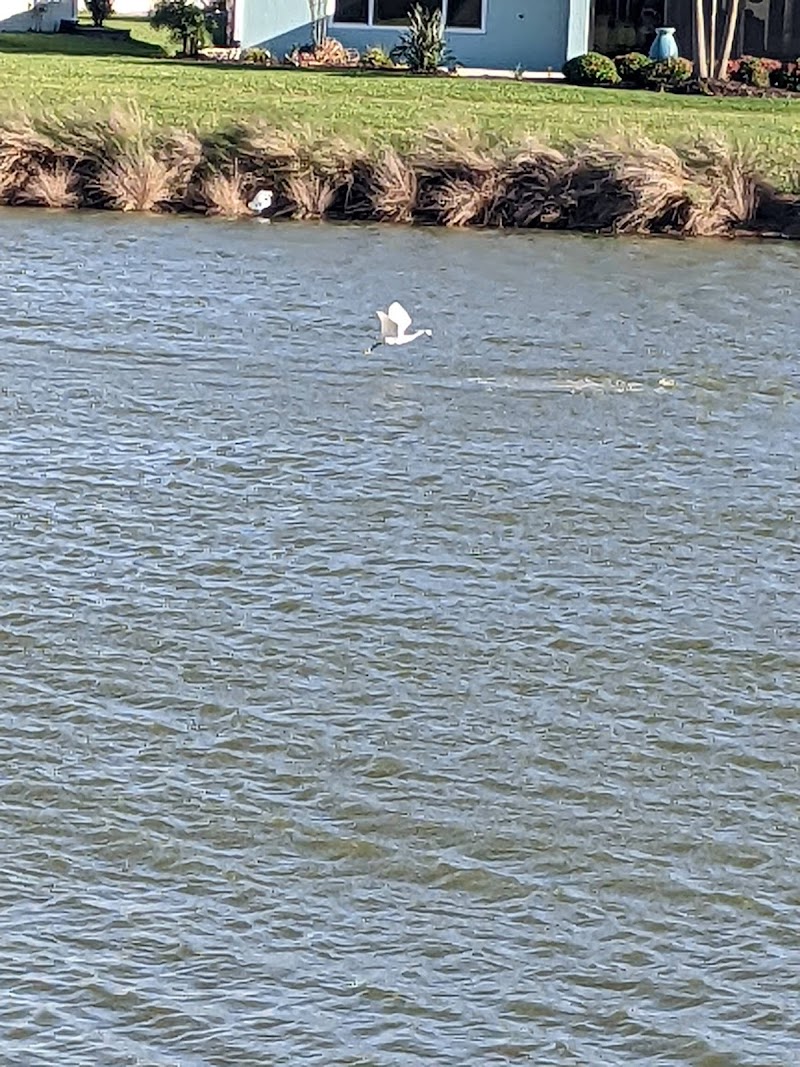 Rupert Canine Park - Sumterville, FL