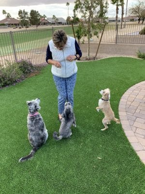 Private - Small Dog Park