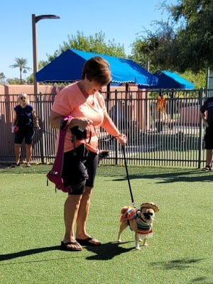 Private - Small Dog Park
