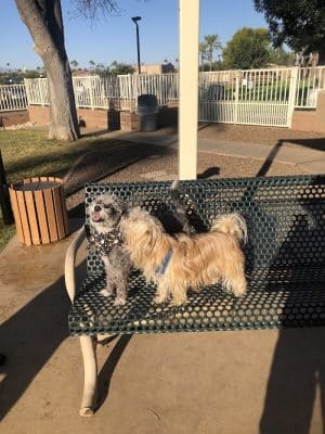 Private - Small Dog Park