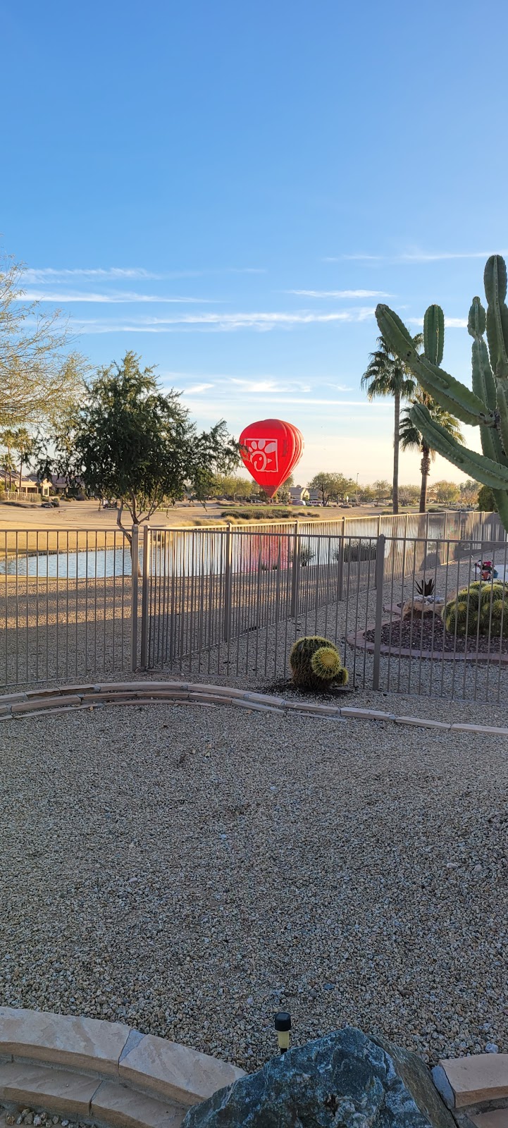 R.H. Johnson Small Dog Park - Members Only - Sun City West, AZ