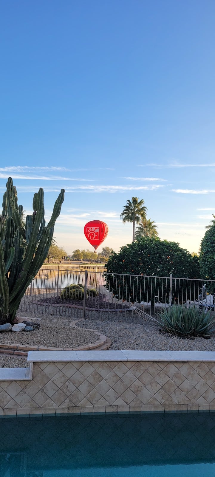 R.H. Johnson Small Dog Park - Members Only - Sun City West, AZ