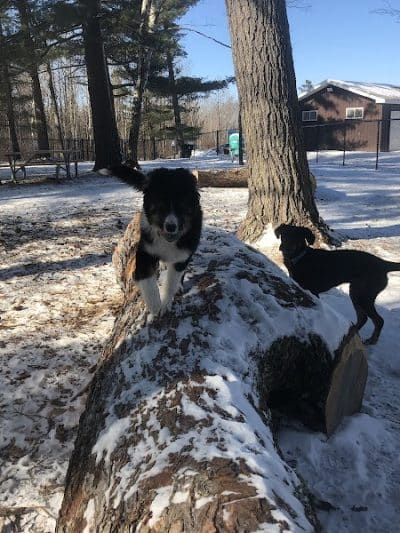 Superior Dog Park - Superior, WI