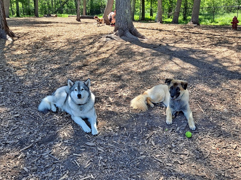 Superior Dog Park - Superior, WI