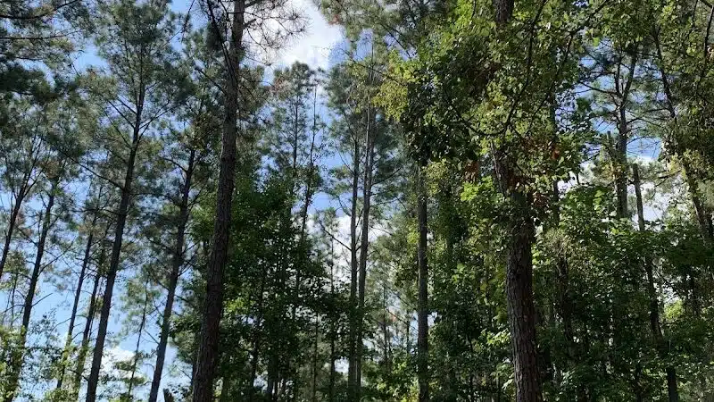 Surf City Bark Park - Surf City, NC