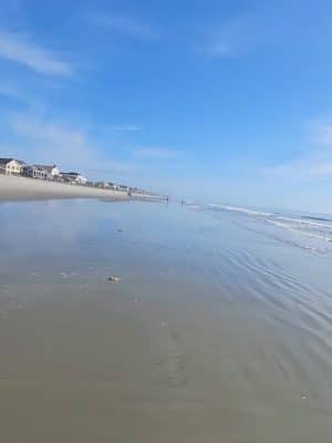 Surfside Beach Dog Park
