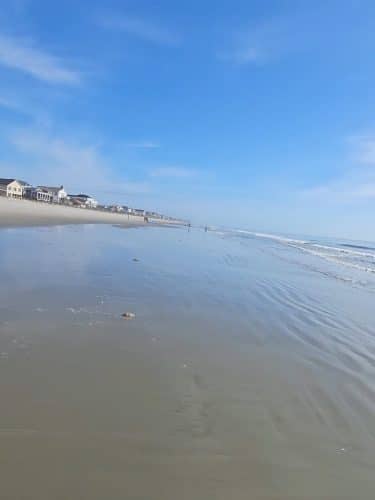 Surfside Beach Dog Park