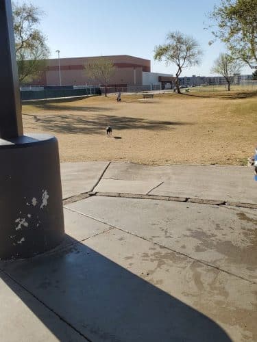 Large Dog Park