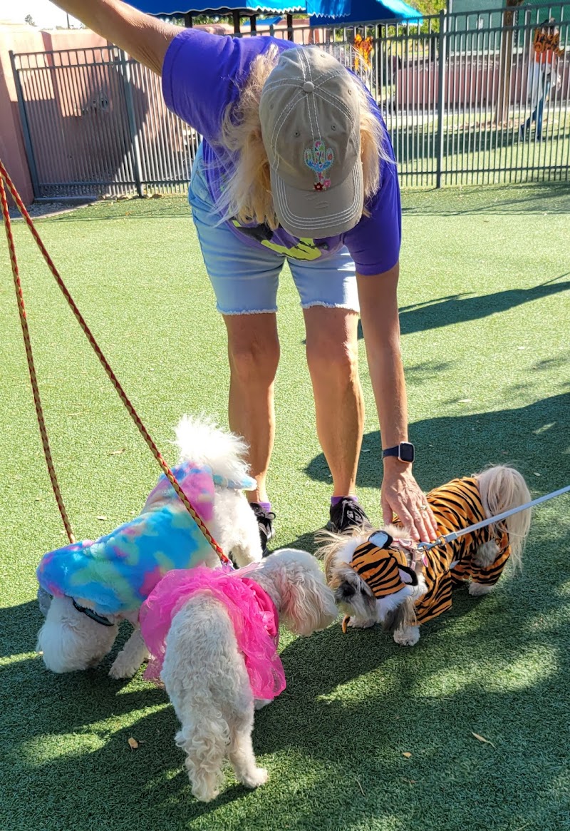 Large Dog Park - Surprise, AZ